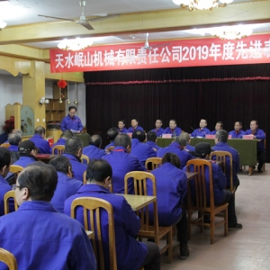 公司召開2019年度先進表彰大會