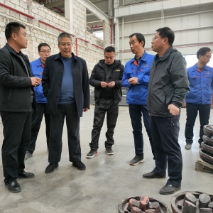 張新子赴新廠區(qū)指導春節(jié)后復工復產(chǎn)工作